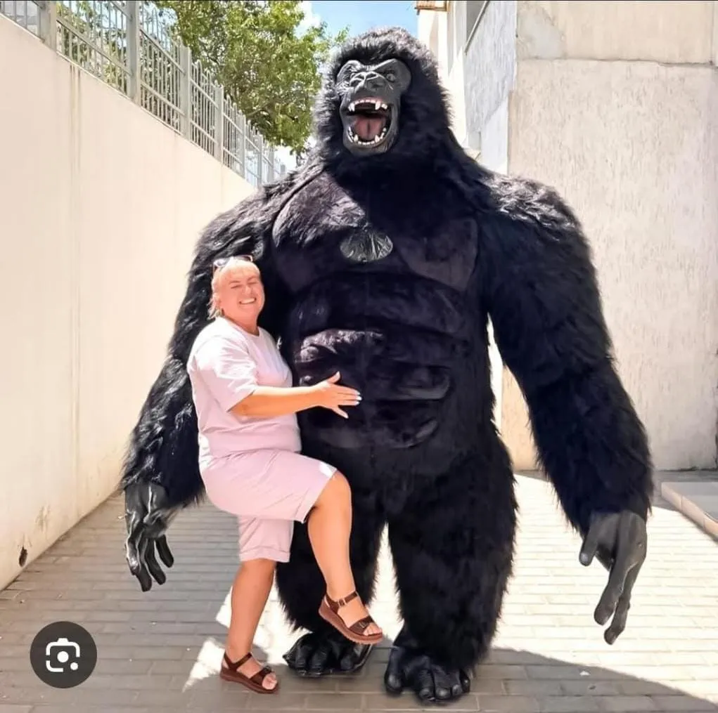 WhatsApp Image 2026-03-19 at 11.39.49 AM.webp