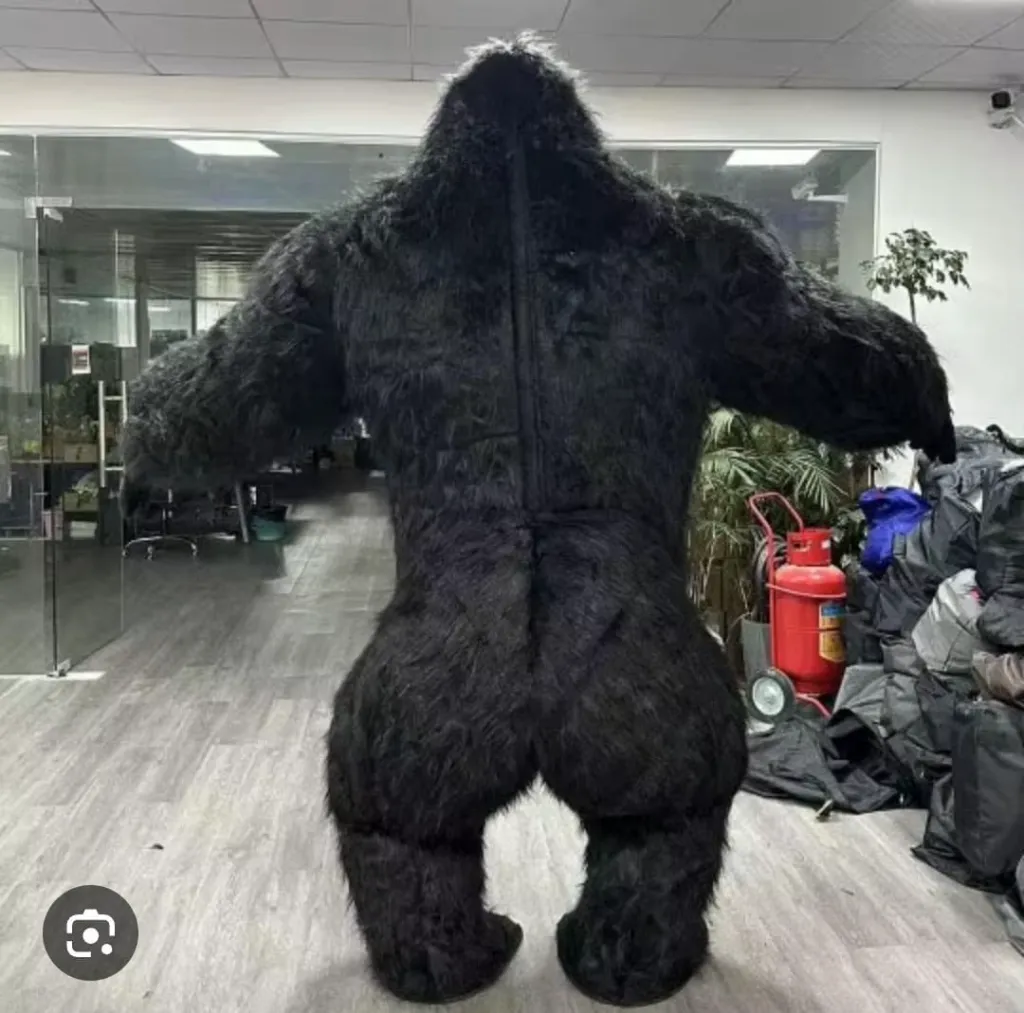 WhatsApp Image 2026-03-19 at 11.38.16 AM.webp