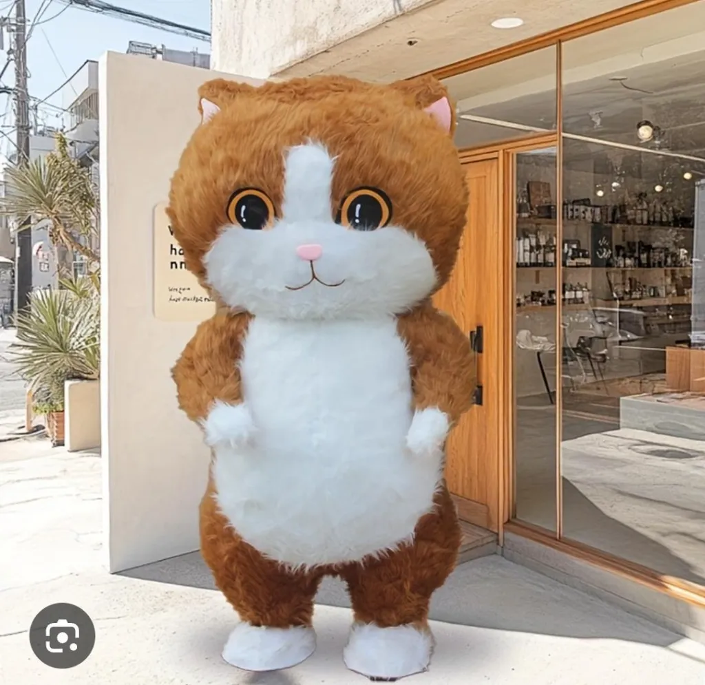 Plush inflatable Mascorts